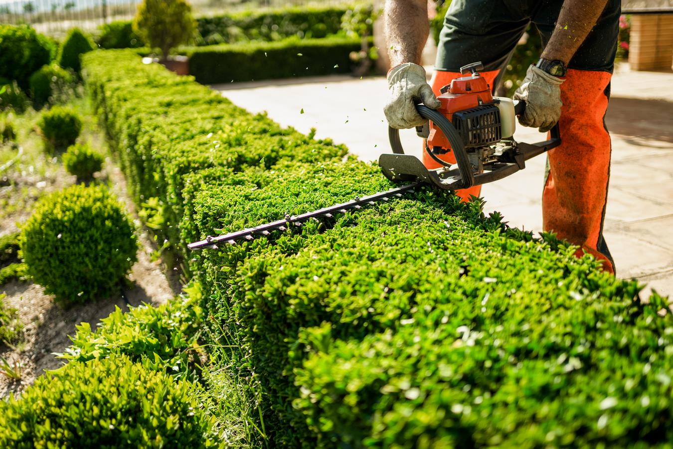Entretien des jardins et espaces verts près de Perpignan